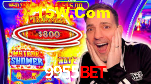 Sinta a adrenalina dos jogos de cassino com 9955Bet